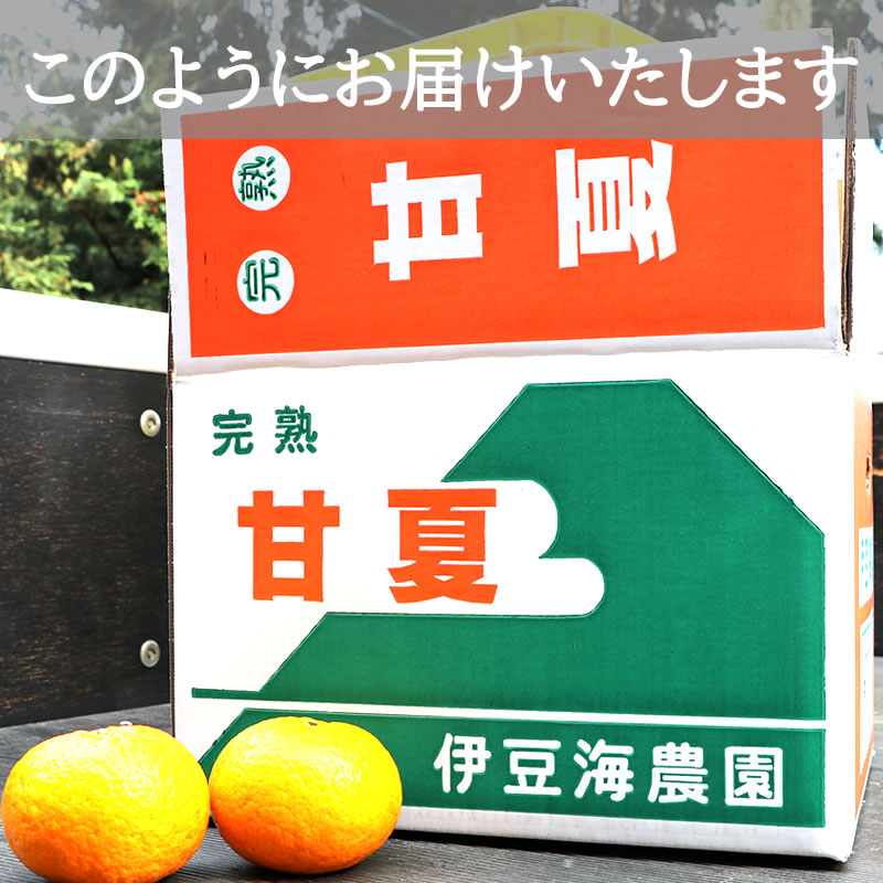 伊豆海農園 l 【公式】 静岡うまちょく便 | 静岡名物・特産品を通販で
