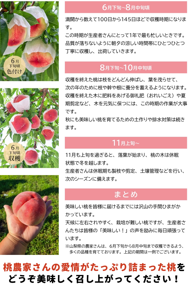 桃カレンダー