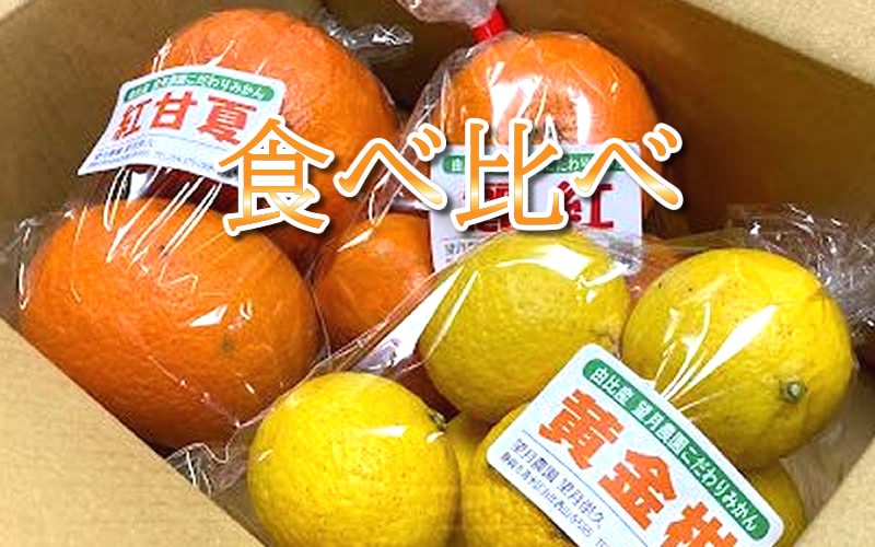 tabekurabe.jpg