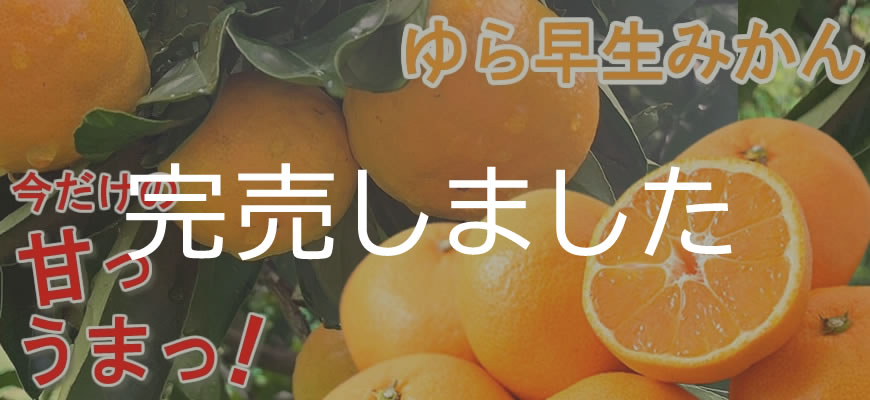 公式】 静岡・山梨特産品うまちょく便 | 【2024】農家直送 厳選