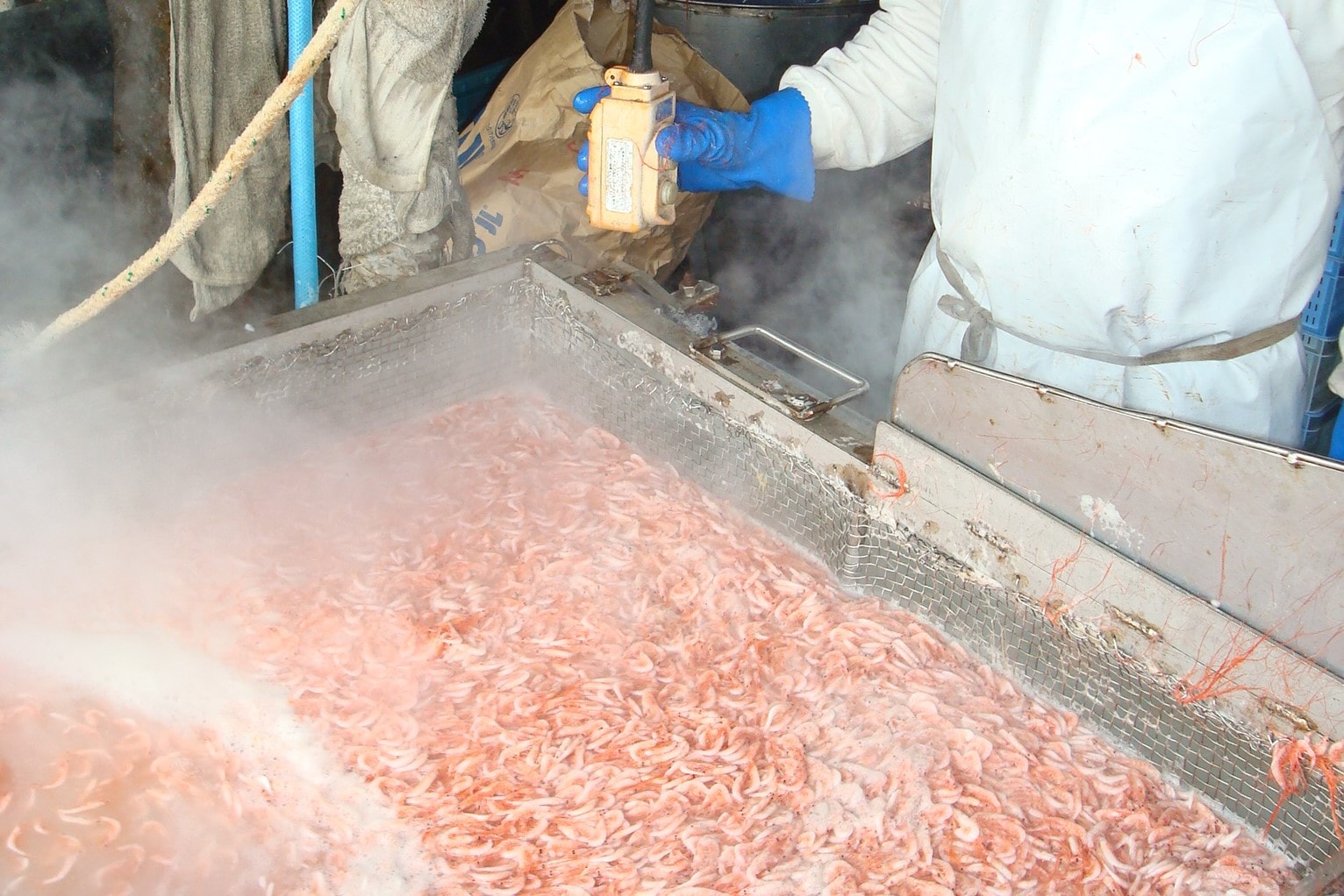 原藤商店 桜えび しらす の商品一覧