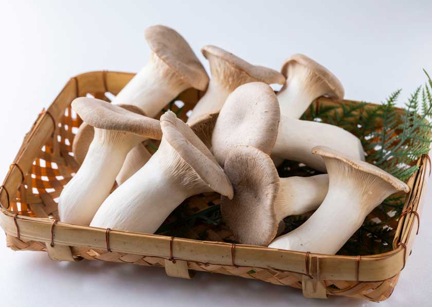 公式】 静岡・山梨特産品うまちょく便 | きのこお取り寄せ l 三島