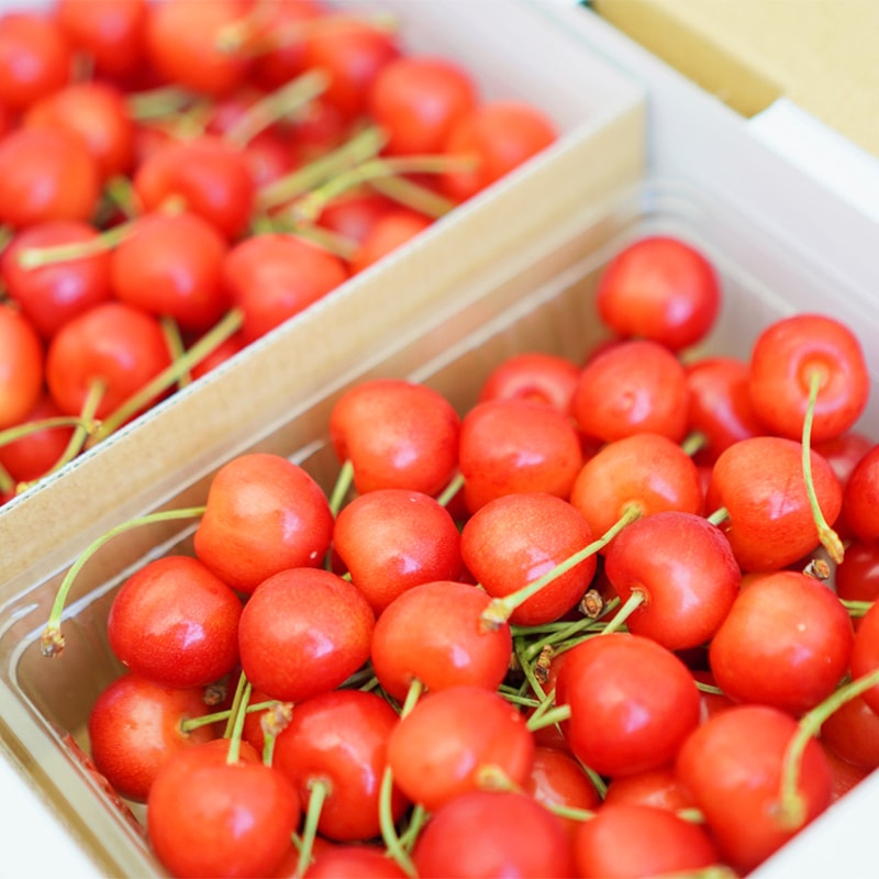 img-cherry_matome.jpg