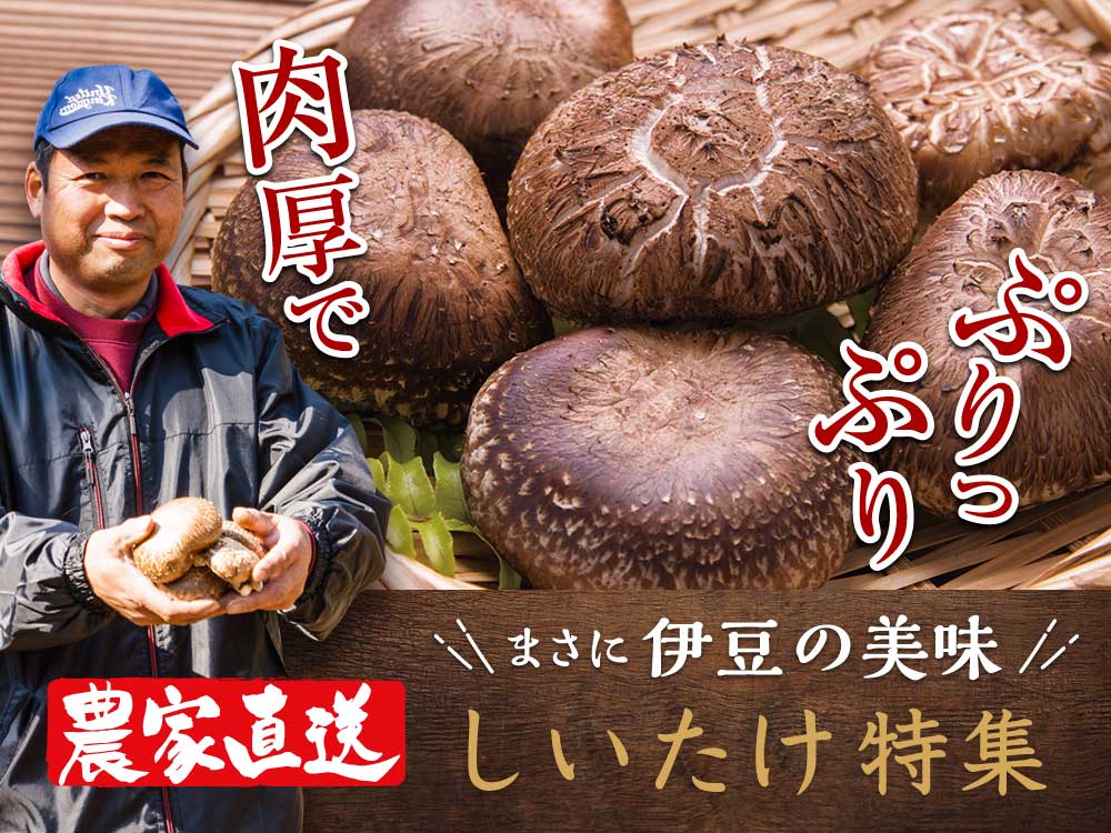 公式】 静岡・山梨特産品うまちょく便 | ☆国産 静岡県伊豆の椎茸 ｌ