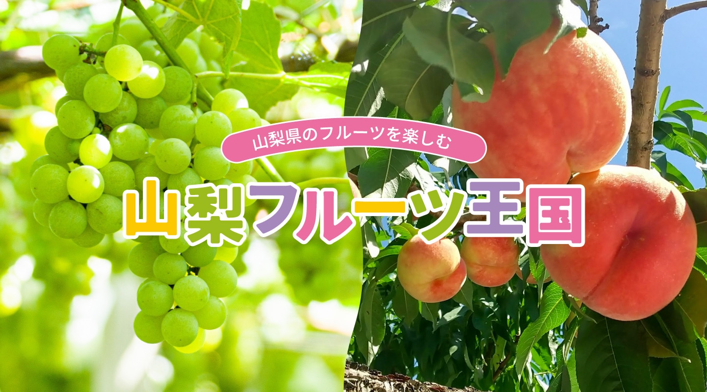 山梨 特産 品