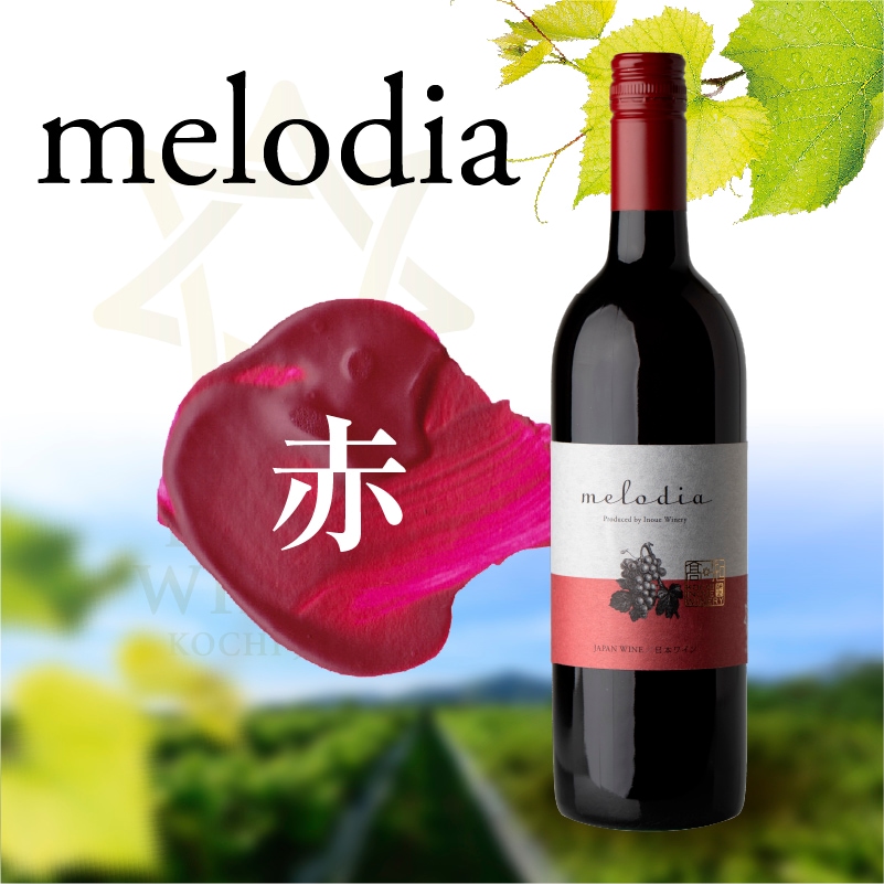 井上ワイナリー赤