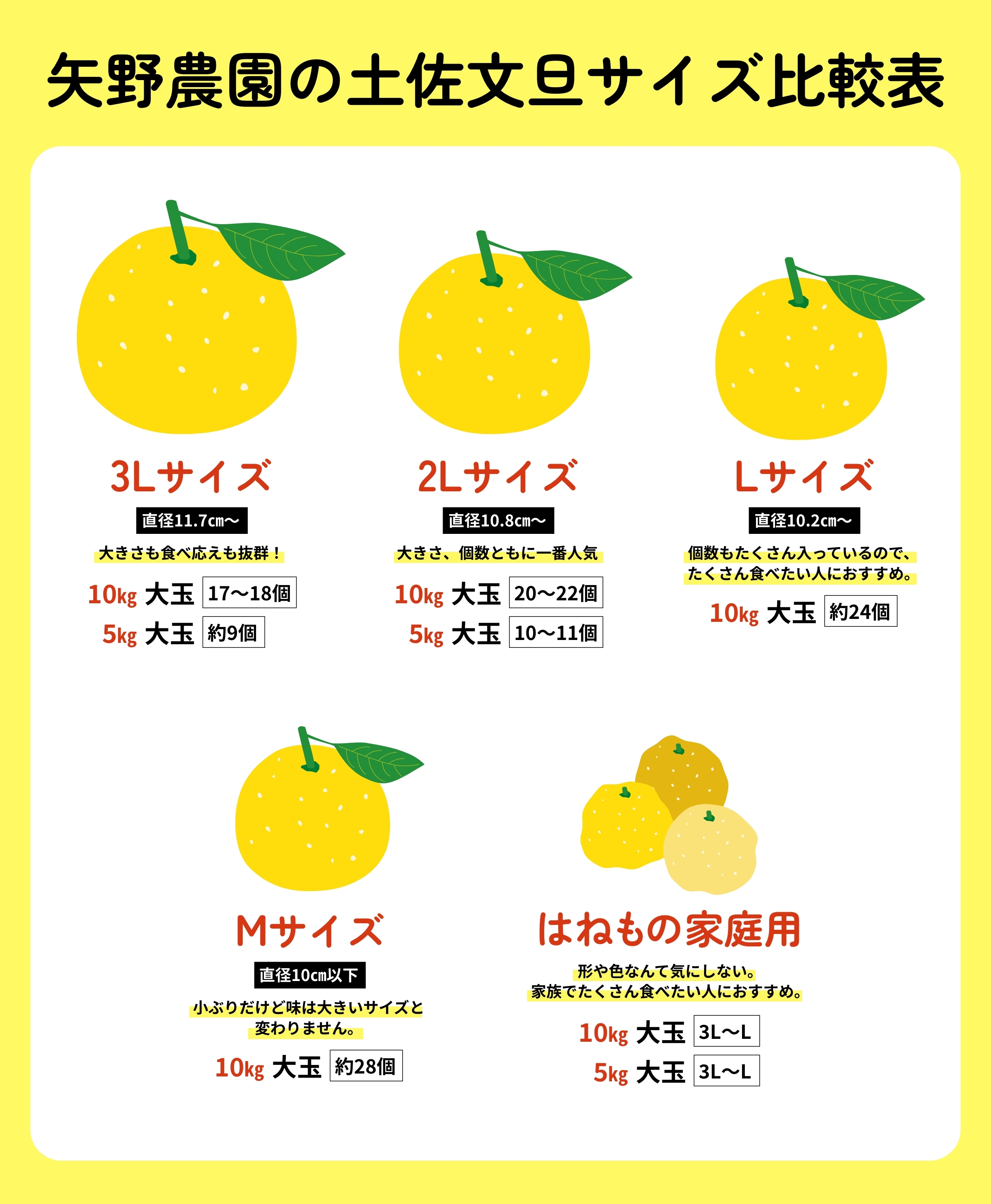 矢野農園 土佐文旦3L(10㎏)｜土佐うまいもの100選｜高知のお土産 通販