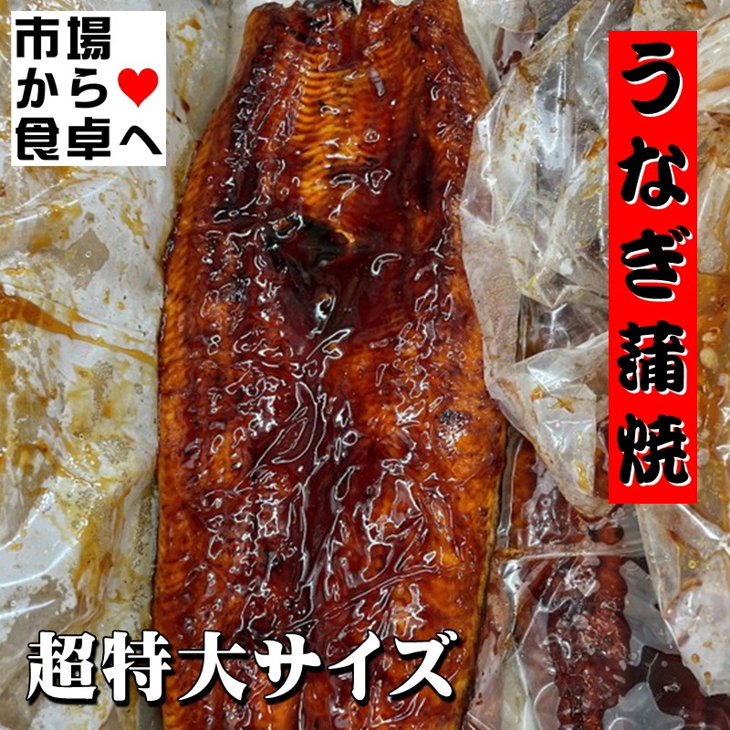 うなぎ蒲焼き (長蒲焼き) 業務用5kg 約10尾入り 中国産【超特大鰻】1尾約500g前後のビッグサイズ【冷凍便】 | ひもの・漬け魚・うなぎ・加工品  | 小田原うまいもの市場