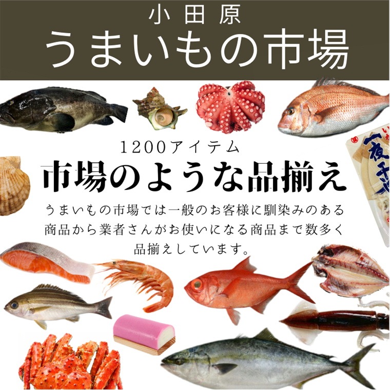 鮮魚 水産加工品通販 のことなら 小田原 うまいもの市場 魚 の 通販 なら当店へ