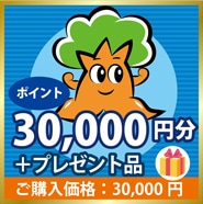 30000円分+プレゼント