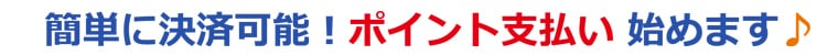 簡単に決済可能！ポイント支払い始めます！