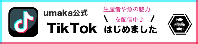 umaka公式TikTokはじめました