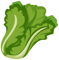 白菜