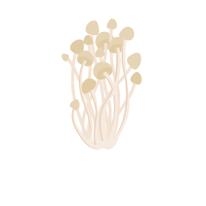 えのき