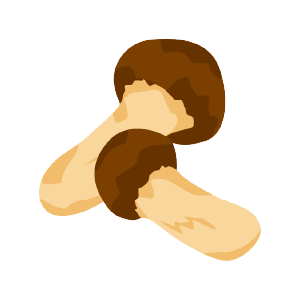 まつたけ