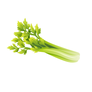 セロリ