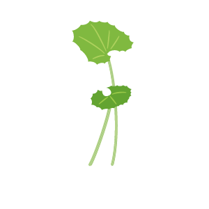 ふき