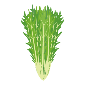 水菜
