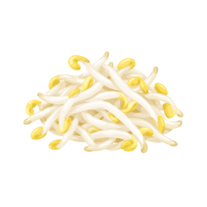 もやし