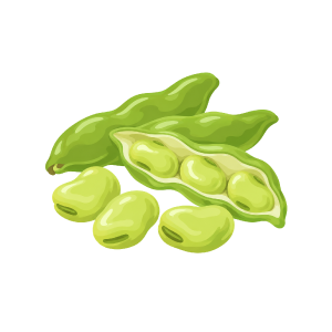 そら豆