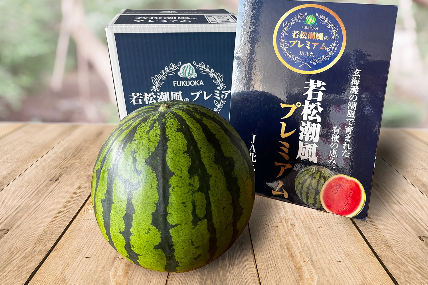 福岡県産 若松潮風プレミアム西瓜 7kg相当 1玉