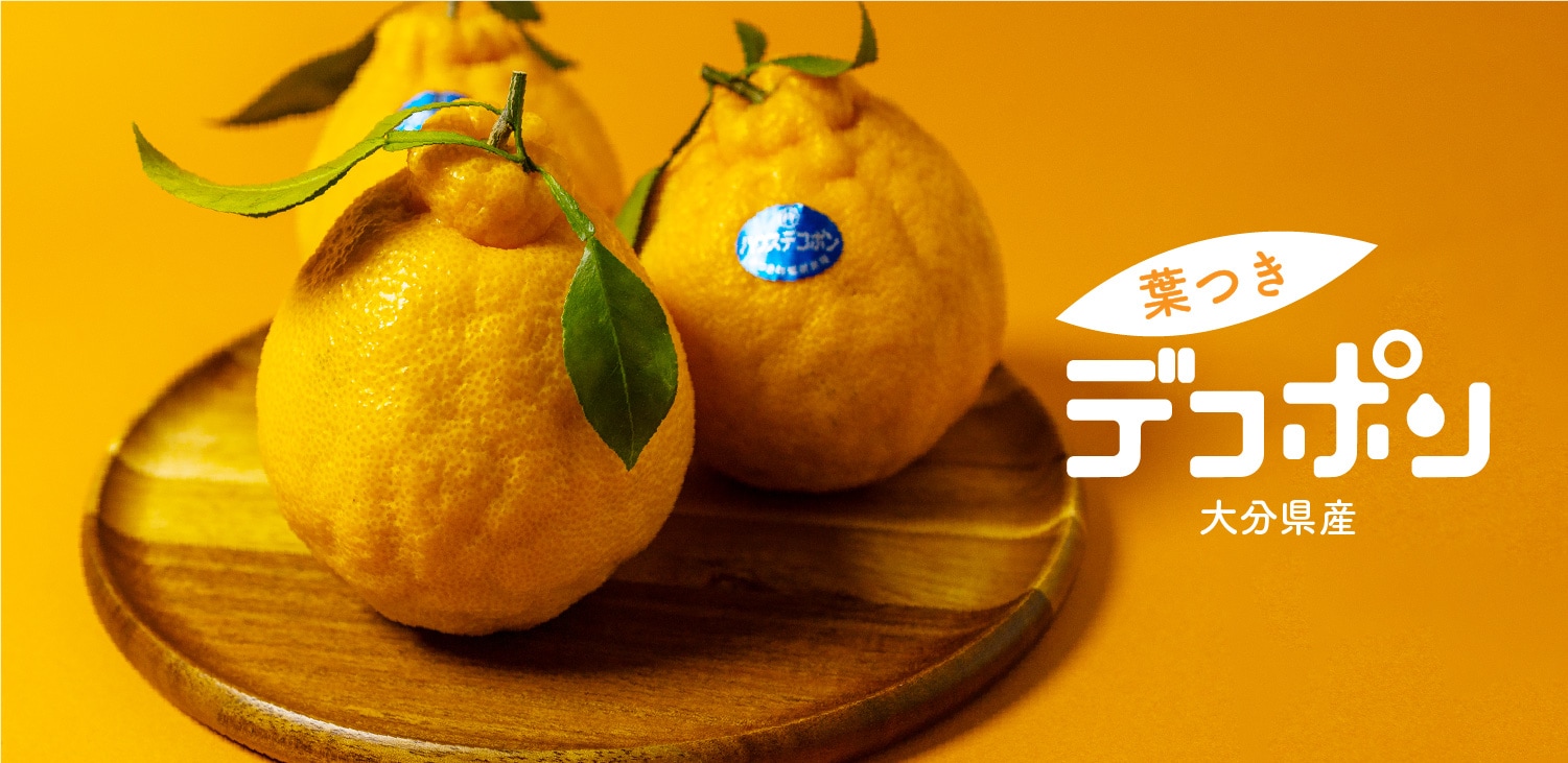 うまうまもぐもぐ 大分県産 葉付きデコポン