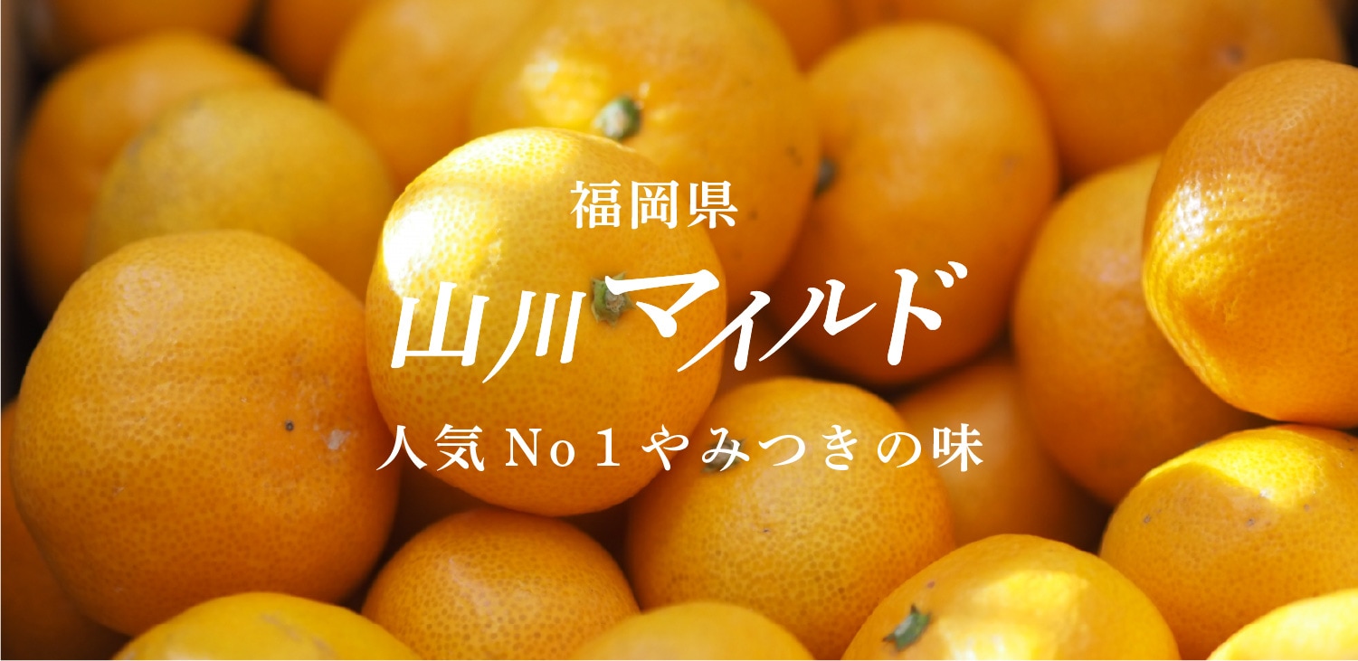 うまうまもぐもぐ 山川マイルドみかん130