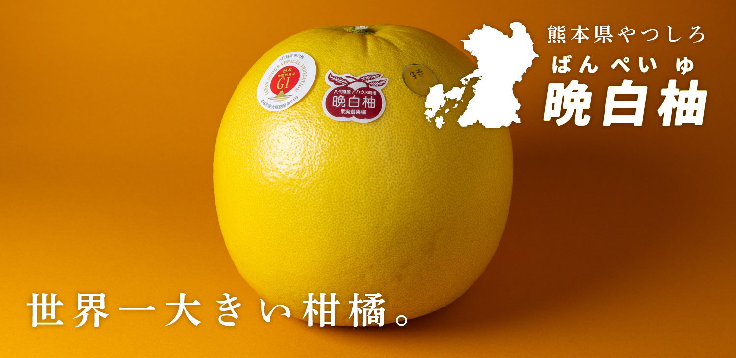 うまうまもぐもぐ 熊本県産 晩白柚