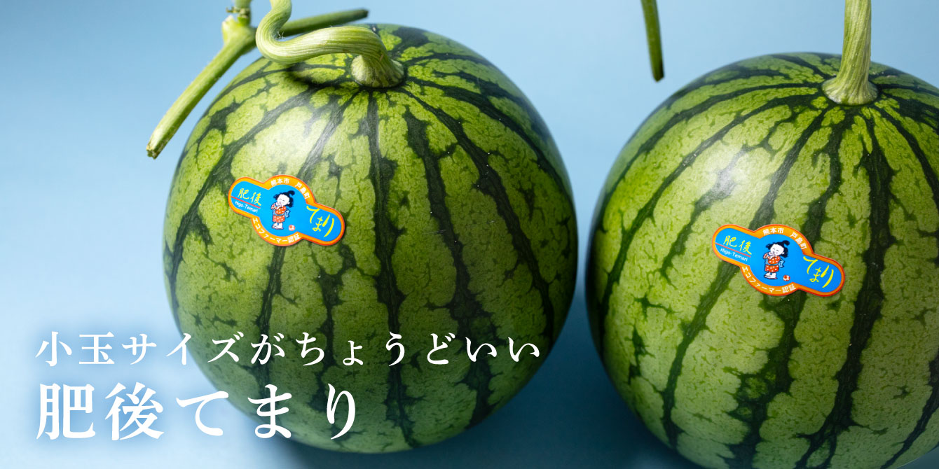 うまうまもぐもぐ 熊本県産 小玉すいか 肥後てまり