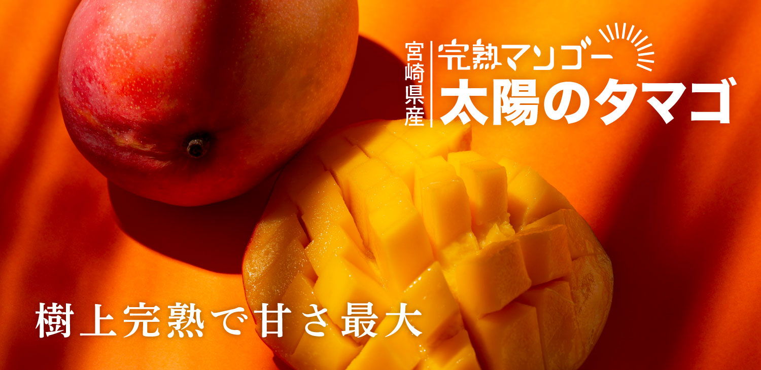 うまうまもぐもぐ 宮崎県産 完熟マンゴー 太陽のタマゴ