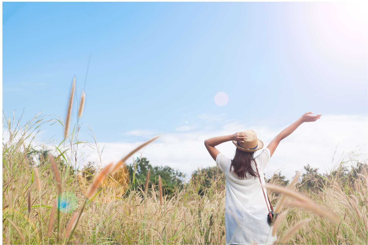 すごいぞ！ナスの紫色「ナスニン」のパワー
