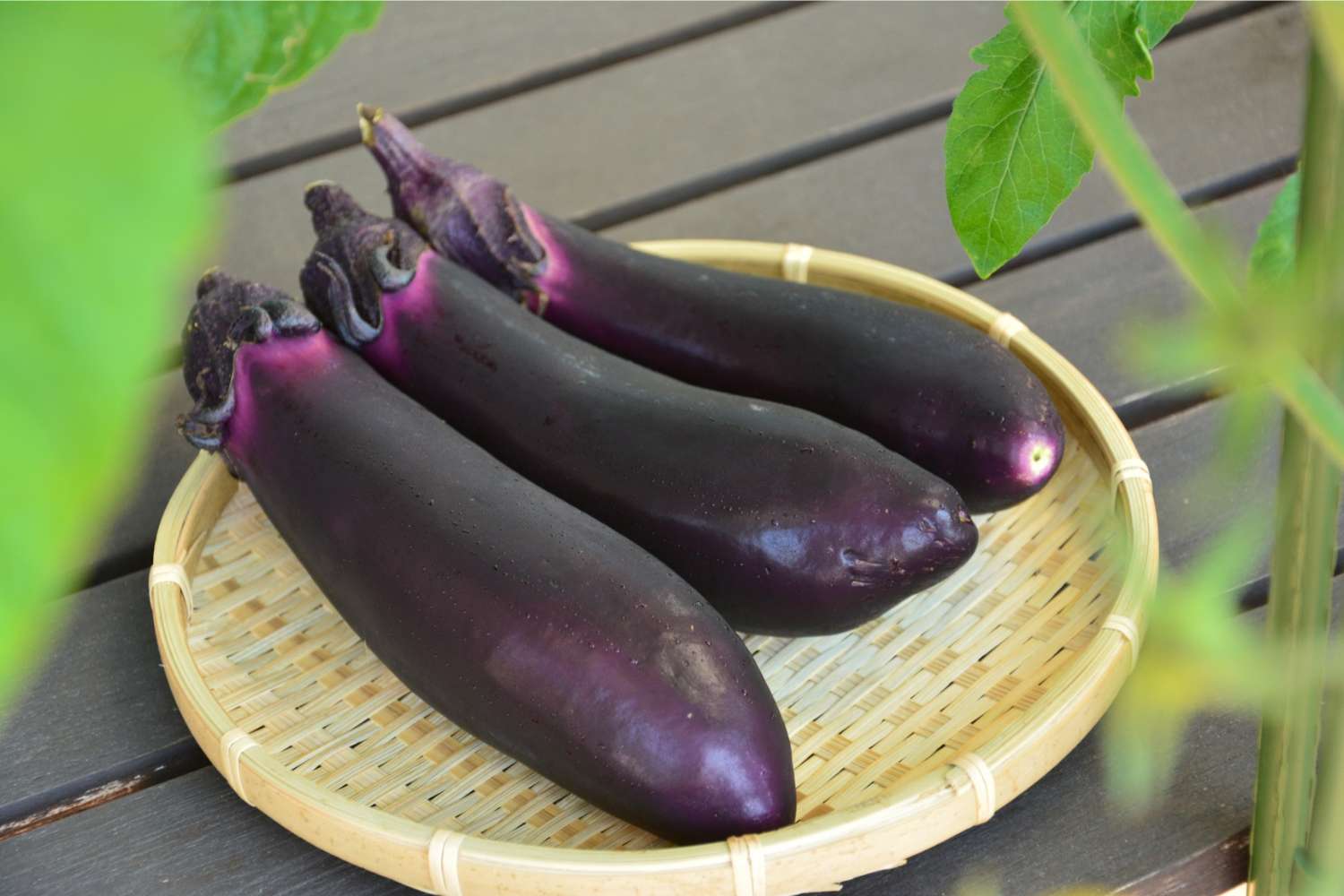 すごいぞ！ナスの紫色「ナスニン」のパワー