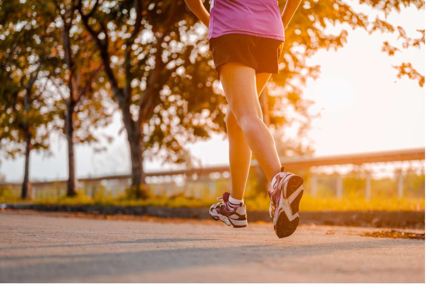 ファイトケミカルで毎日を元気に