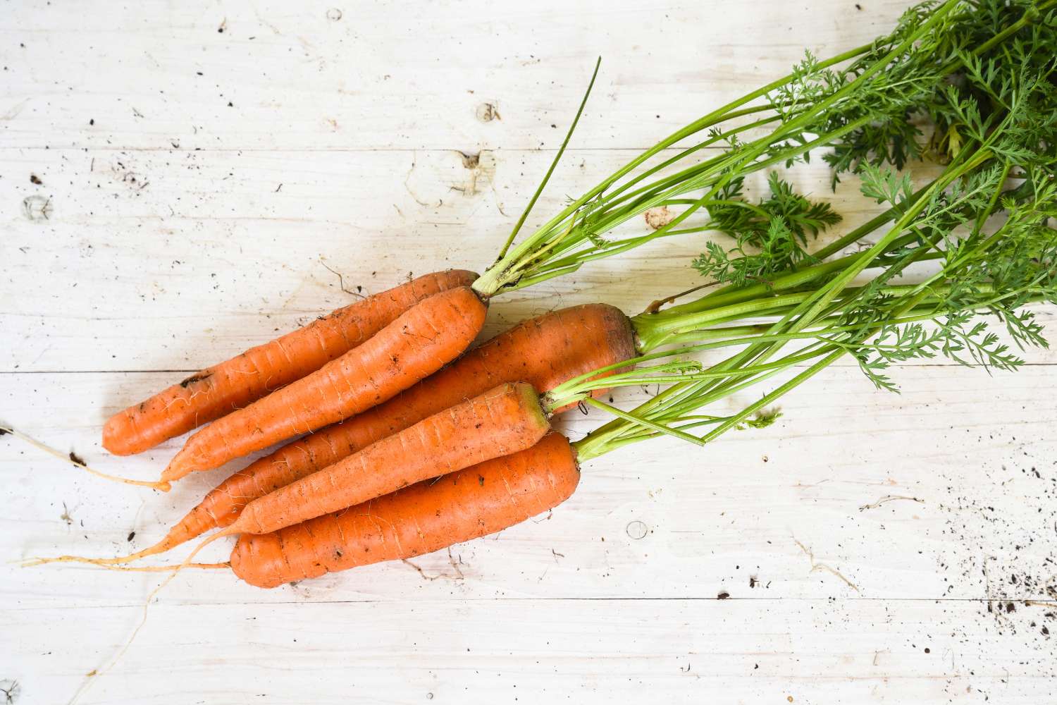 老眼の進行を遅らせてくれる野菜と果物