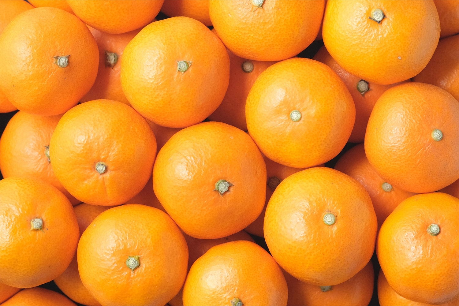 今年のみかんは当たり年!?