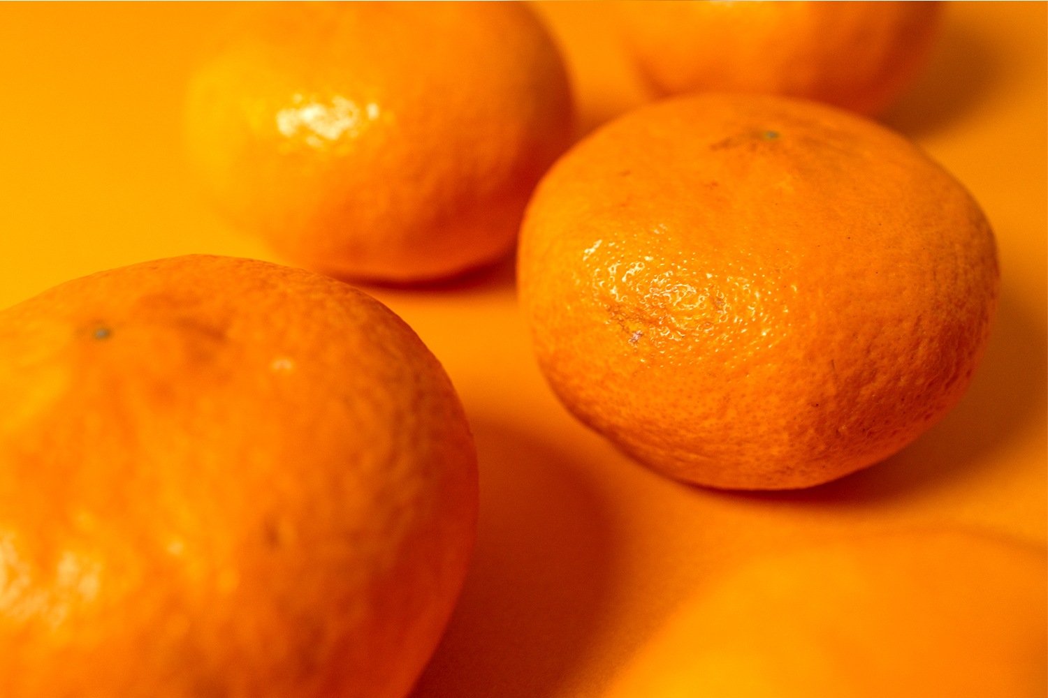 今日から使える、みかんの選び方ガイド