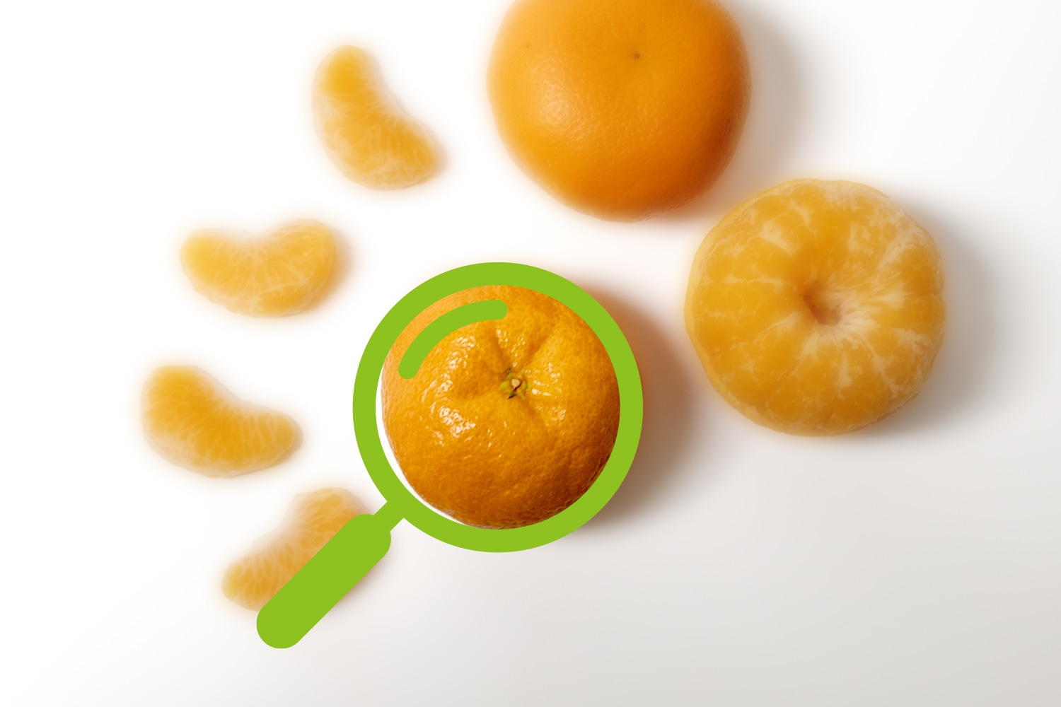 今日から使える、みかんの選び方ガイド