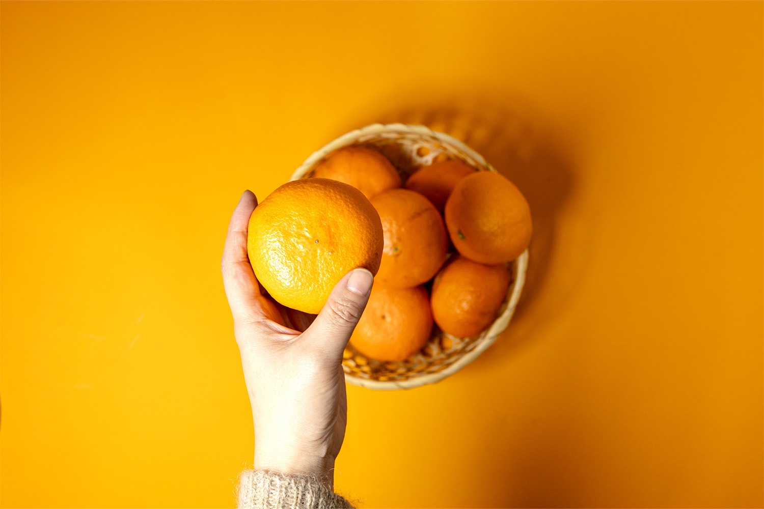 今日から使える、みかんの選び方ガイド