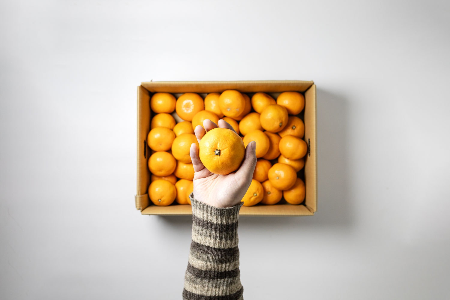 年末にお役立ち！箱で買ったミカンの保存方法