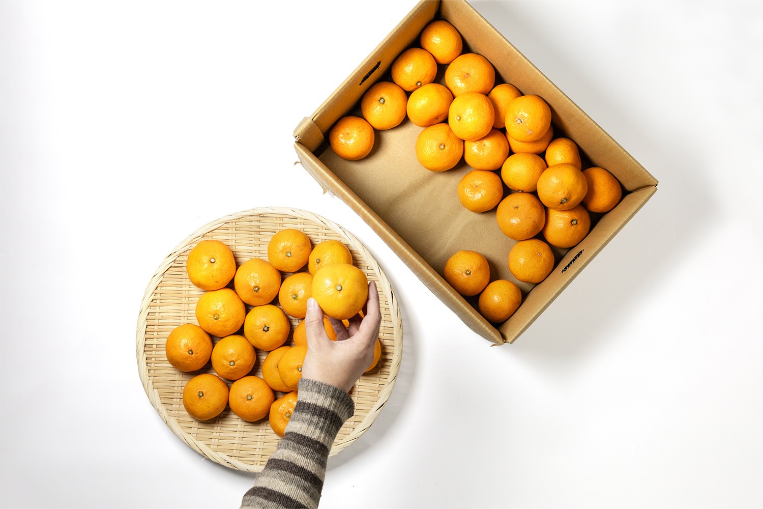 年末にお役立ち！箱で買ったミカンの保存方法