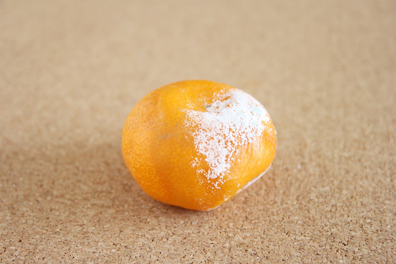 年末にお役立ち！箱で買ったミカンの保存方法