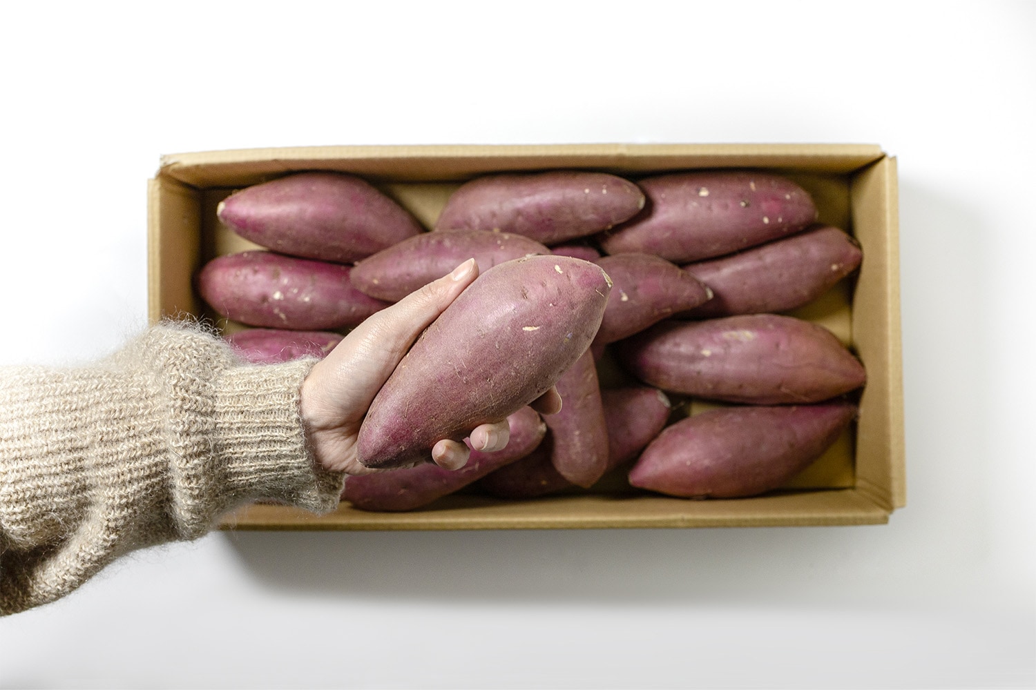 美味しいサツマイモの選び方