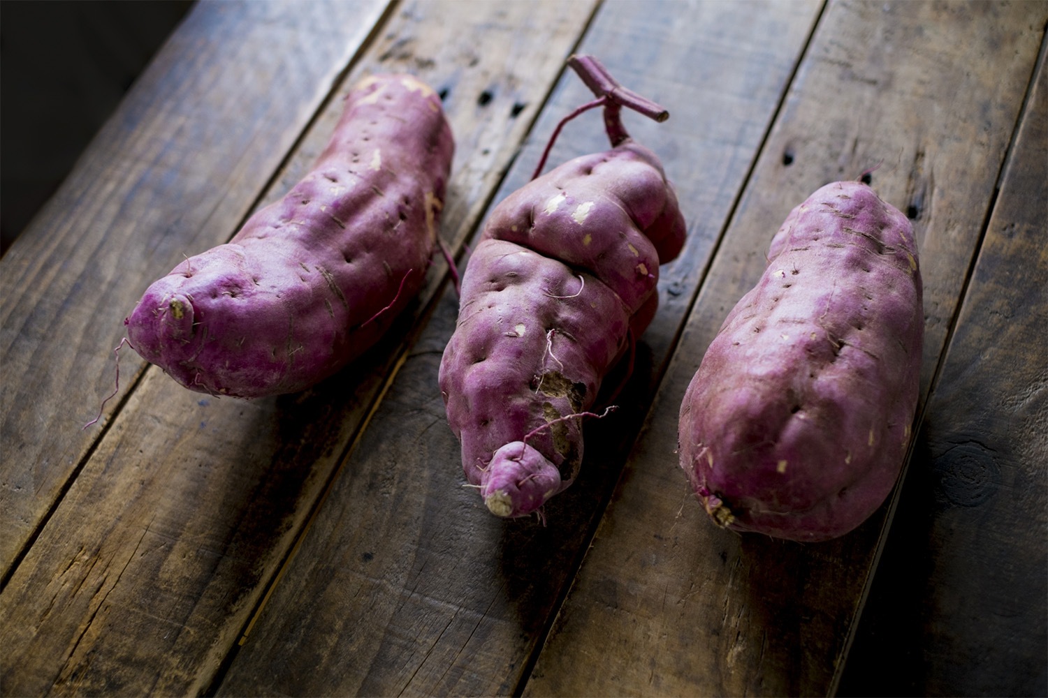 美味しいサツマイモの選び方