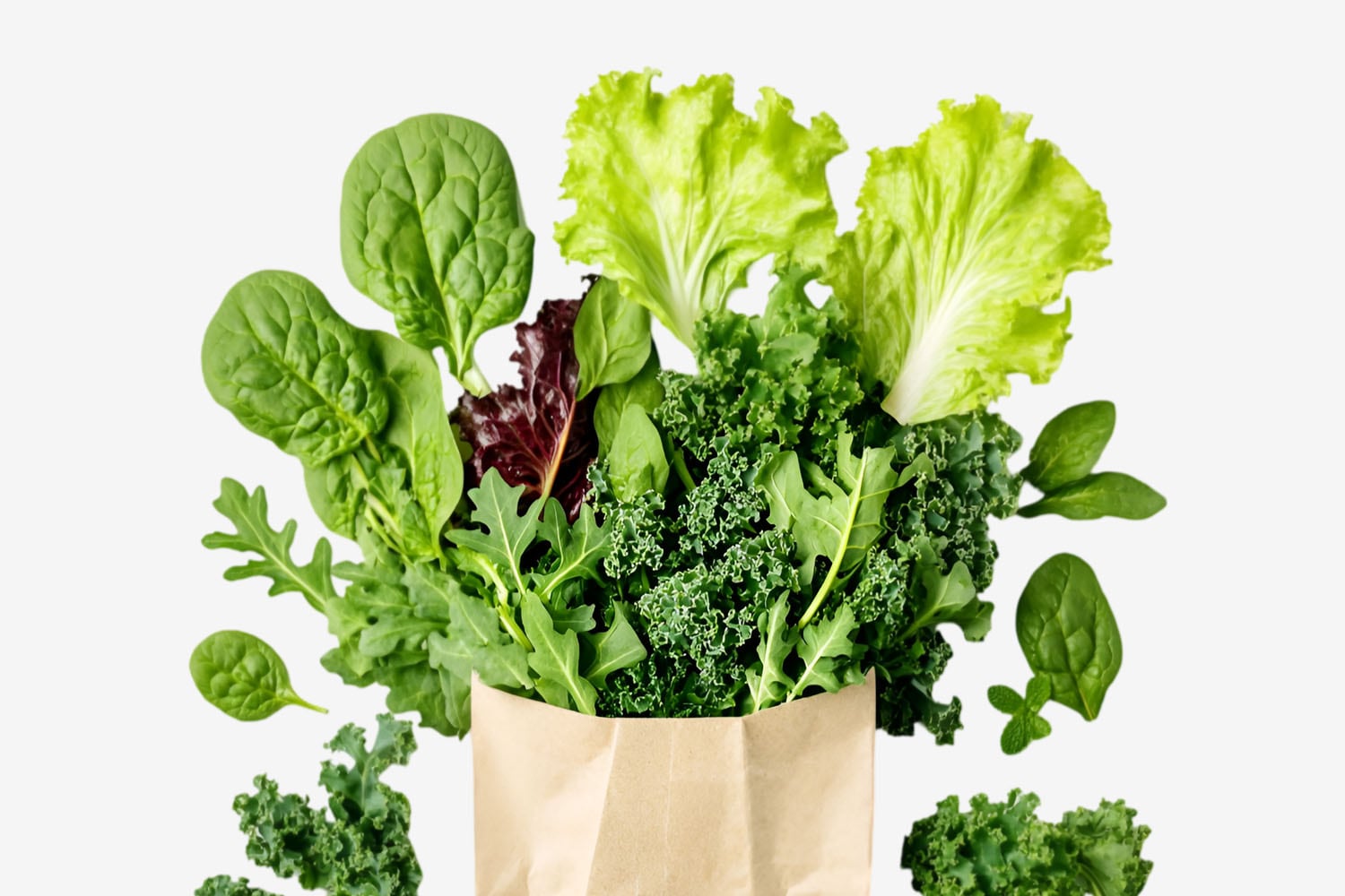 シャキッと長持ち「葉物野菜」の保存方法