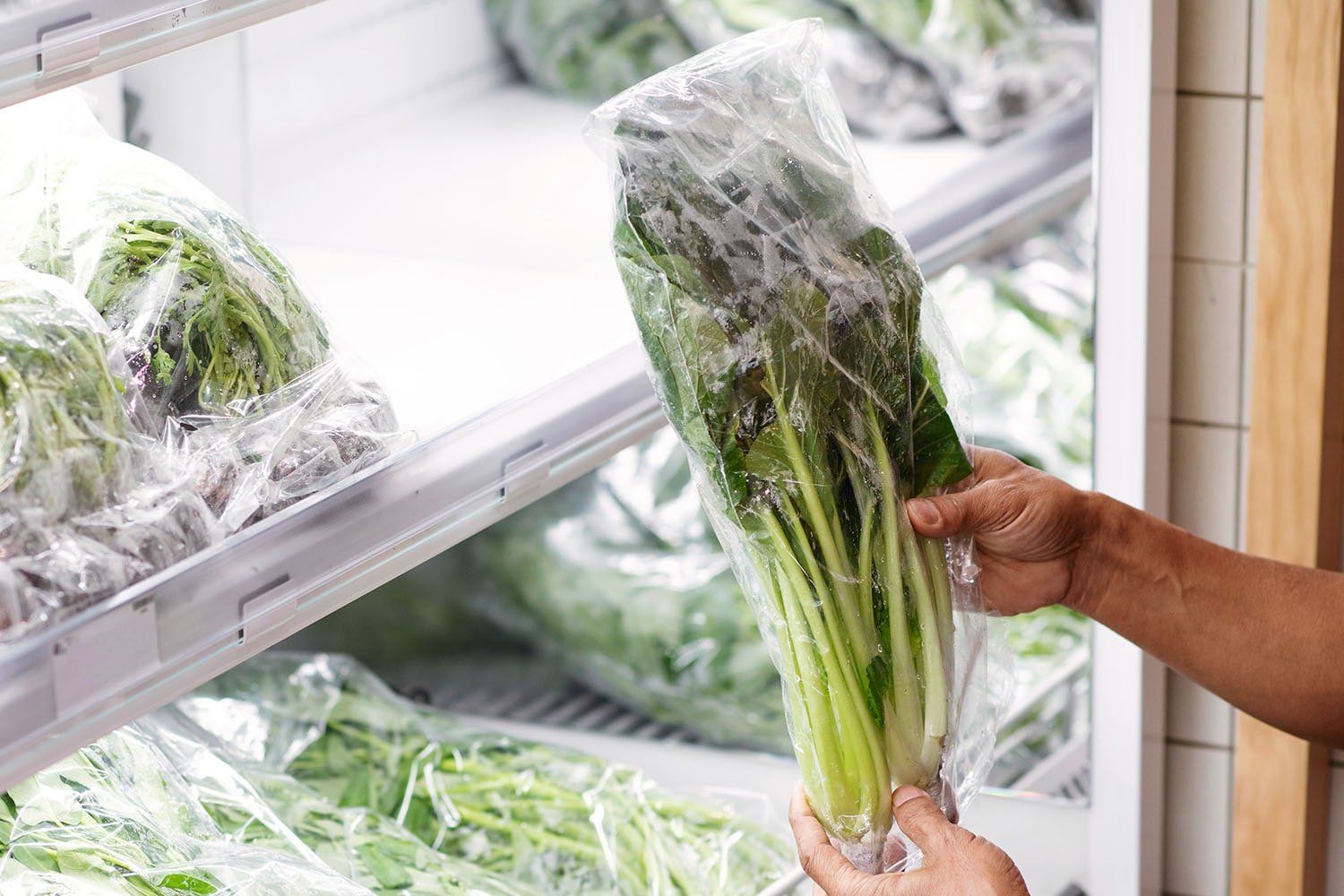 シャキッと長持ち「葉物野菜」の保存方法