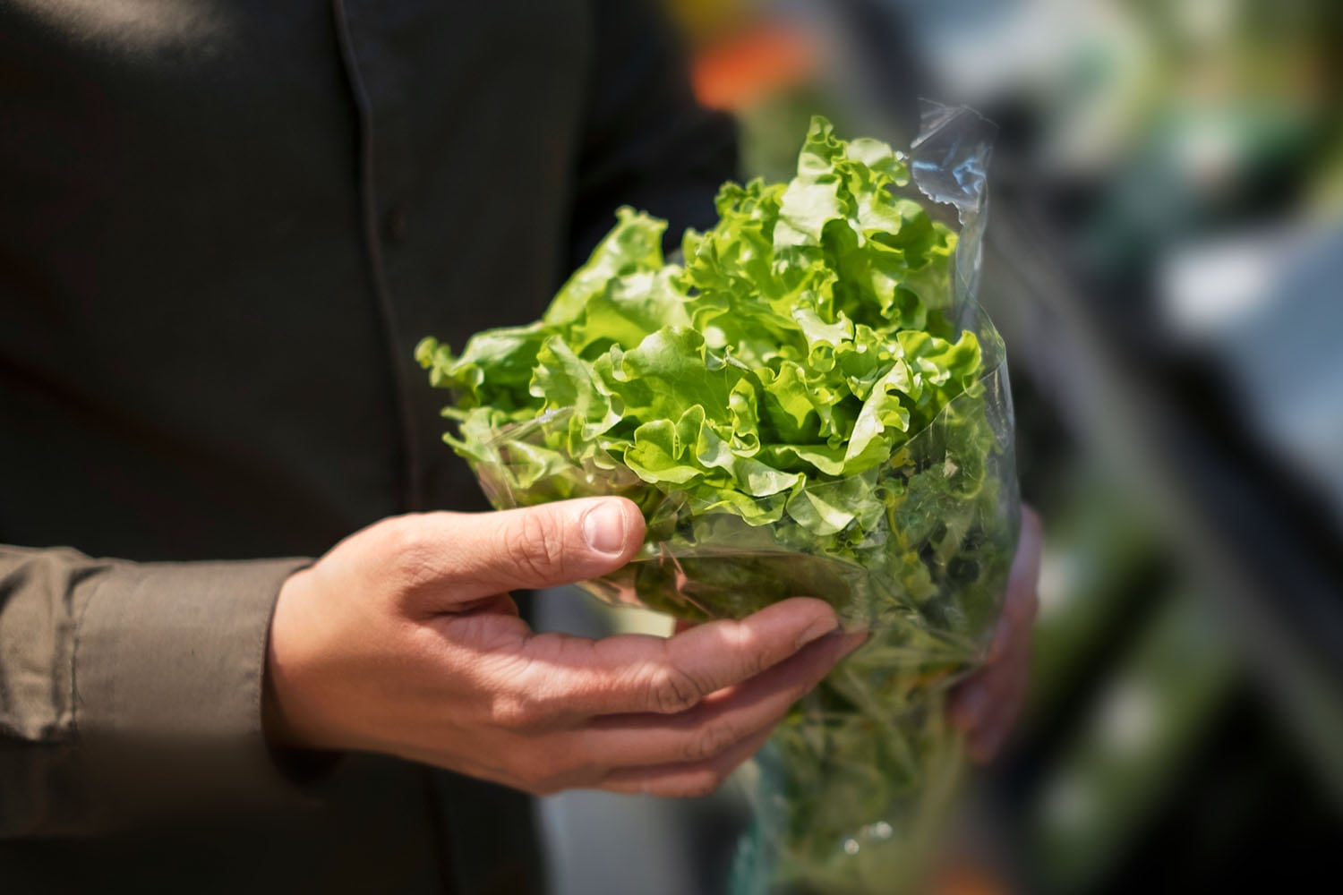 シャキッと長持ち「葉物野菜」の保存方法