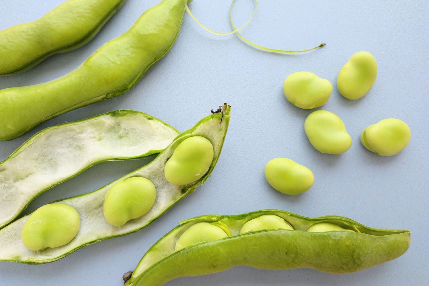 覚えておきたい！これから旬の春野菜を一挙ご紹介