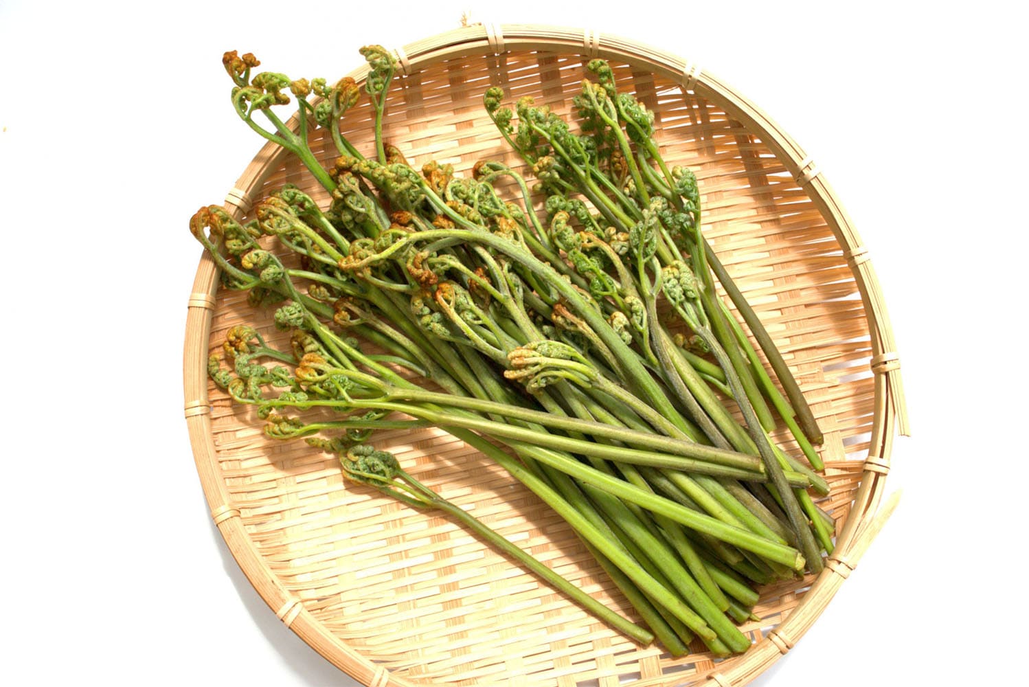 覚えておきたい！これから旬の春野菜を一挙ご紹介