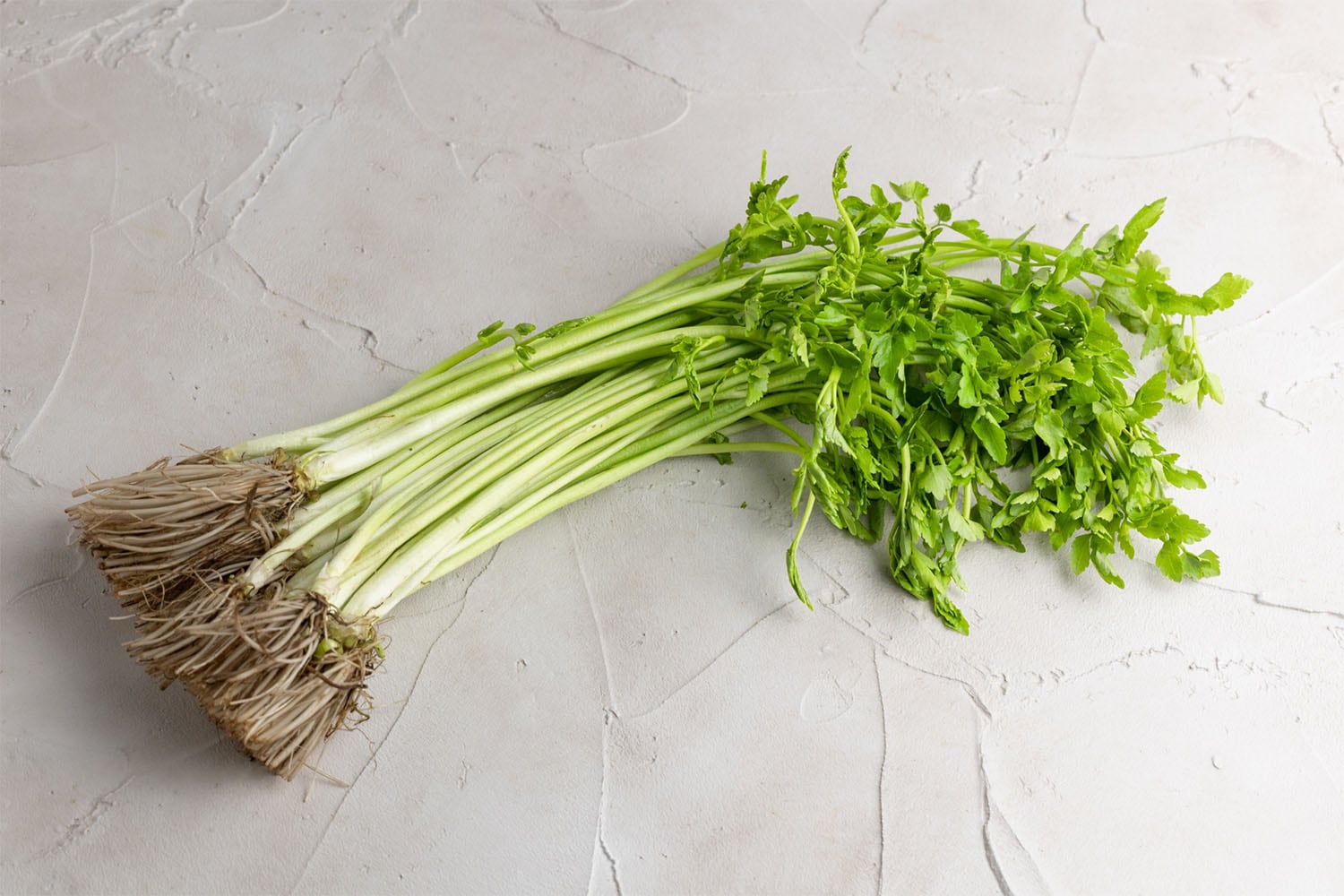 覚えておきたい！これから旬の春野菜を一挙ご紹介