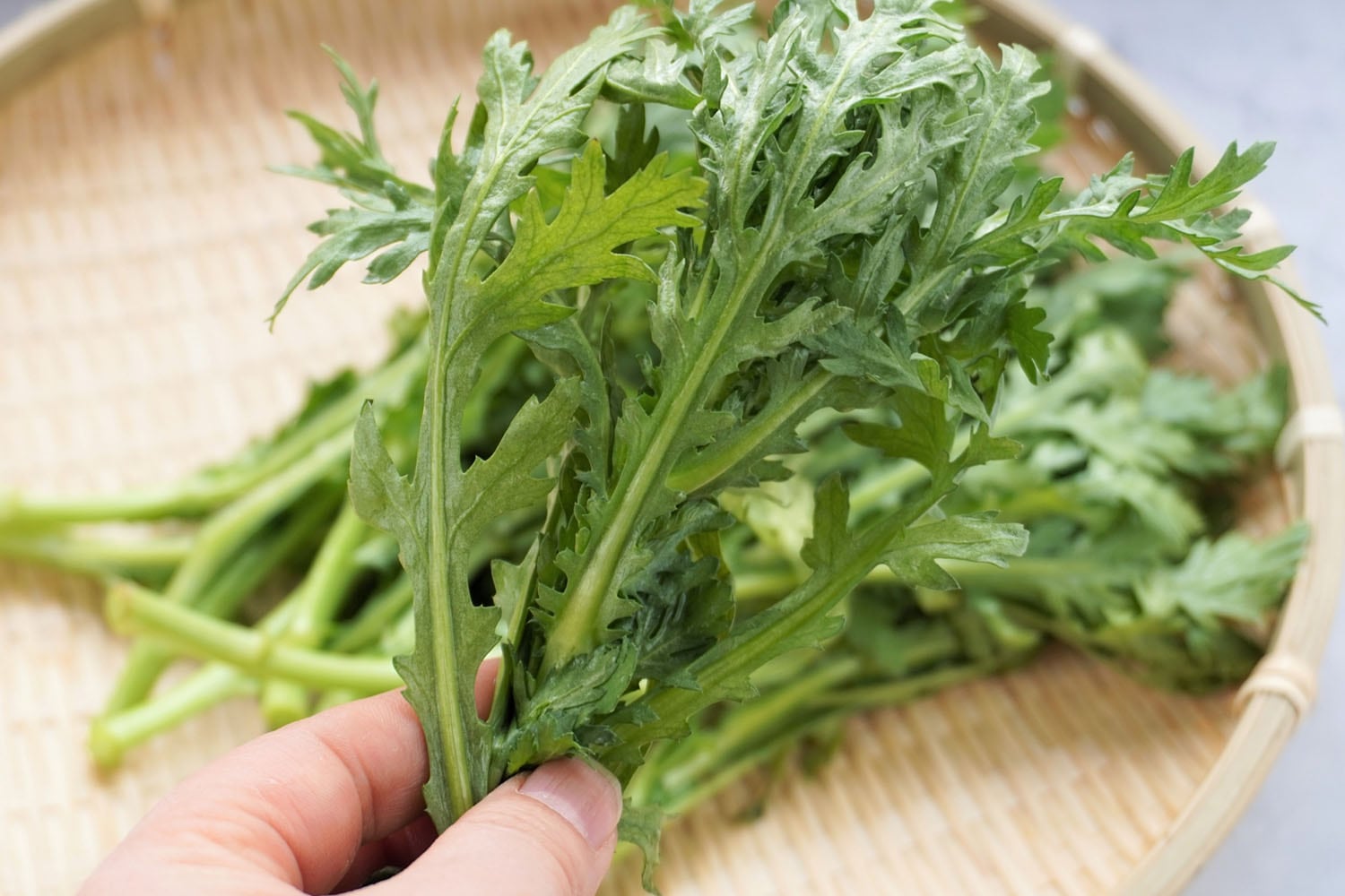 春菊は、生で食べるといちばん美味しい？